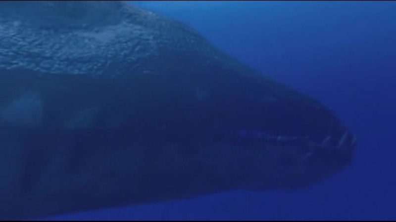 Прогулянки з динозаврами 3 серія