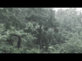 The fumes > (official video, 720p hd)