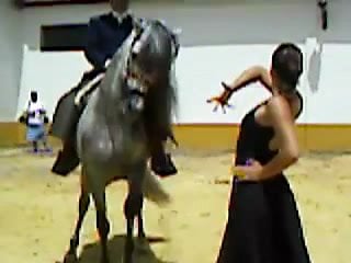 Mujer bailando sevillanas con caballo