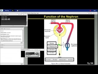 43rd lecture kaplan step 1 ca physiology wilson march 8, 2014