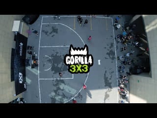 Gorilla 3x3 hightlights