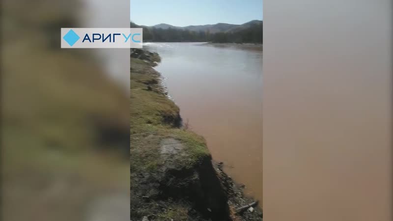 Прорвало дамбу в бурятии река стала грязно коричневого цвета