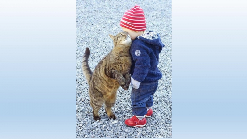 Усатые няньки