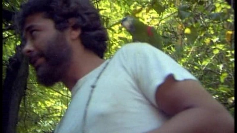 Sklavinnen porn video – Робинзон и его дикие рабыни / robinson und seine wilden sklavinnen ( фрг, франция, израиль 1972 )
