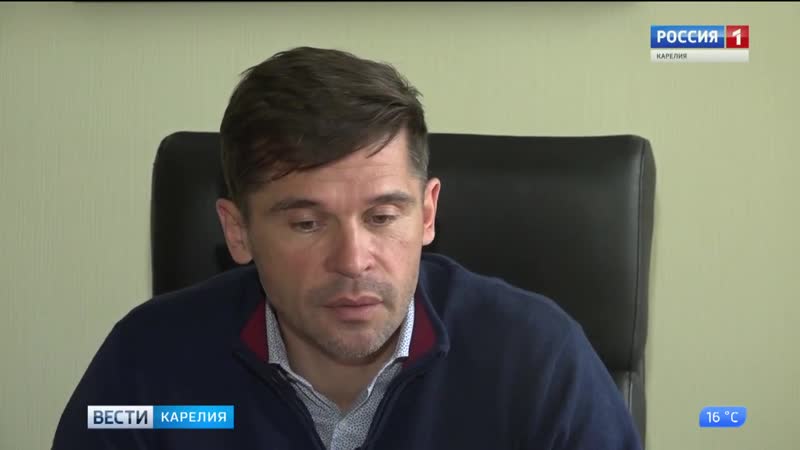 К 2024 году карелия собирается достичь 100 процентного лесовосстановления