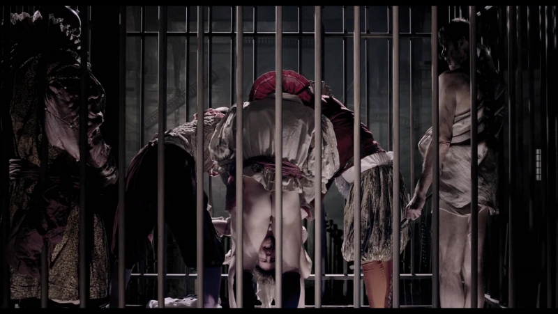 Stefano scherini and hendrik aerts goltzius and the pelican company