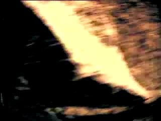 Anathema mine is yours to drawn in (ours is the new tribe)