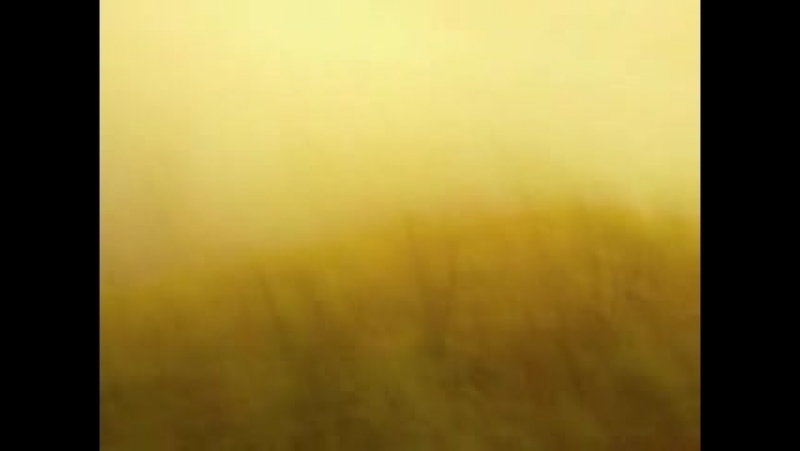 Imee ooi green tara mantra