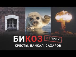 «две жизни» сахарова, байкал и первый русский док на netflix главные неигровые фильмы первой половины 2021