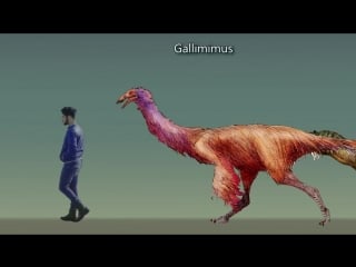 Mario lanzas dinosaur size comparison paleoartdinosaur size comparison paleoart