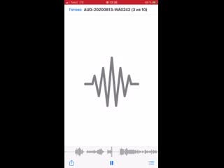 Коллега скинул в рабочий чат)))