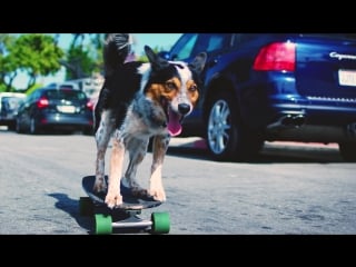 Chon waterslide (2017) (math rock / progressive / post rock)