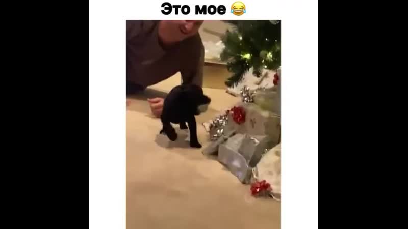 Разбираем елку)