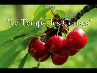 Le temps des cerises