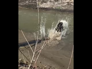 Март радует погодой