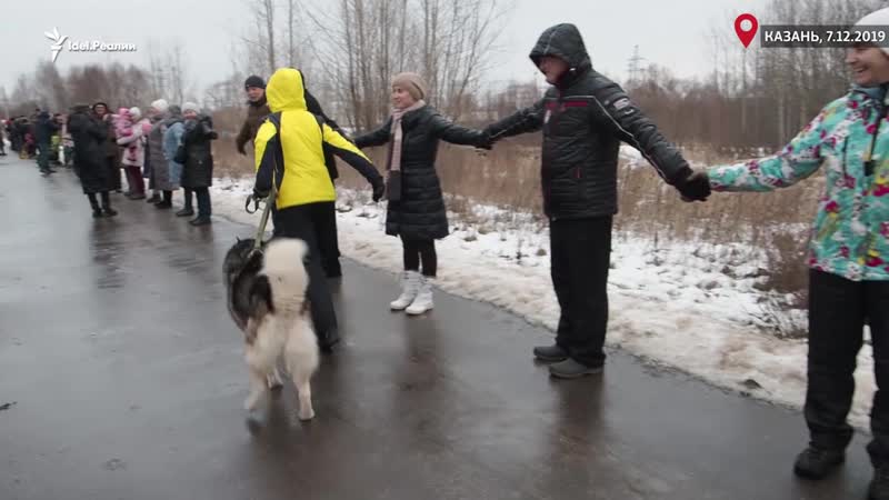 Спасти рощу на гаврилова и казанку тоже