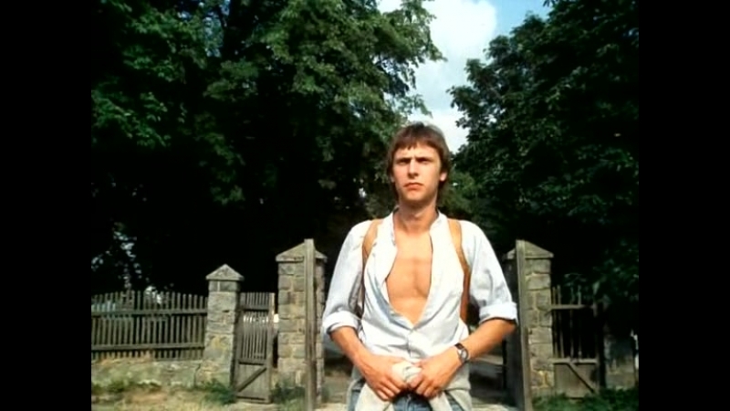 1984 экспериментатор / slunce, seno, jahody