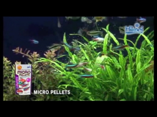 Micro pellets 【kyorin,hikari,tropicalfish diets】(1)