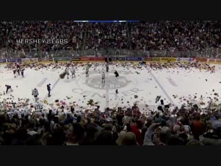 Hershey bears collect 34,798 toys to set new teddy bear toss record