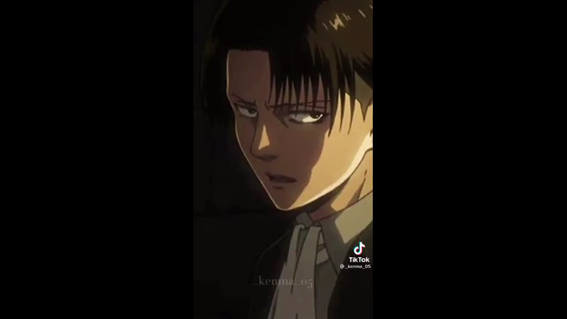 Mikasa ackerman & levi ackerman