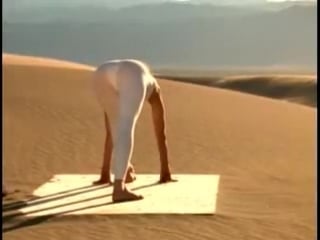 Pm yoga for beginners with patricia walden