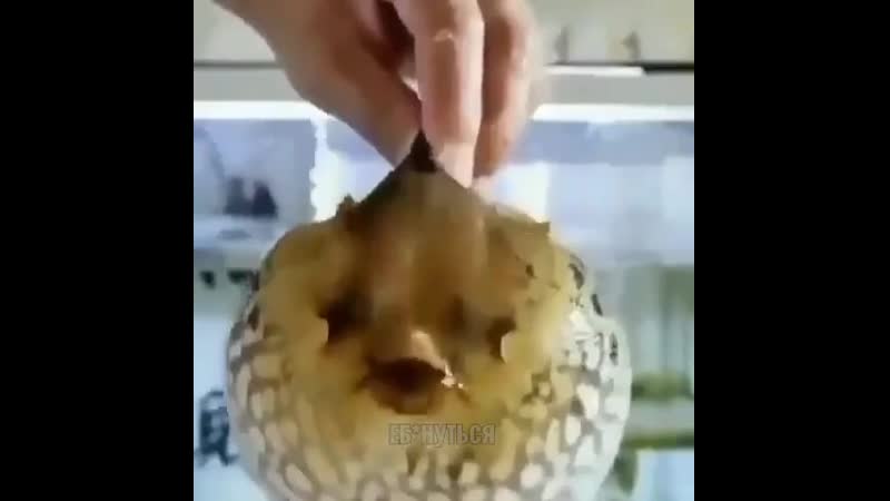 Фигасе porn video – Фигасе