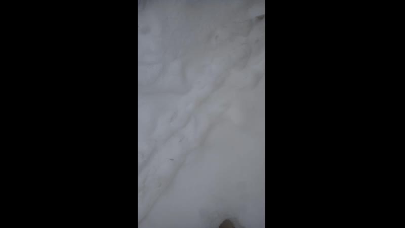 Вывоз мусора