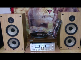 Акустическая система sony ss 1250 шикарный звук!