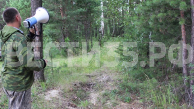 Две школьницы заблудились в лесу под устюжной