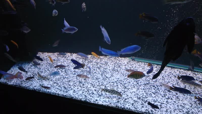 Замена грунта