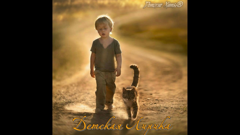 , отрывок «кошкин дом» – арслан сибгатуллин