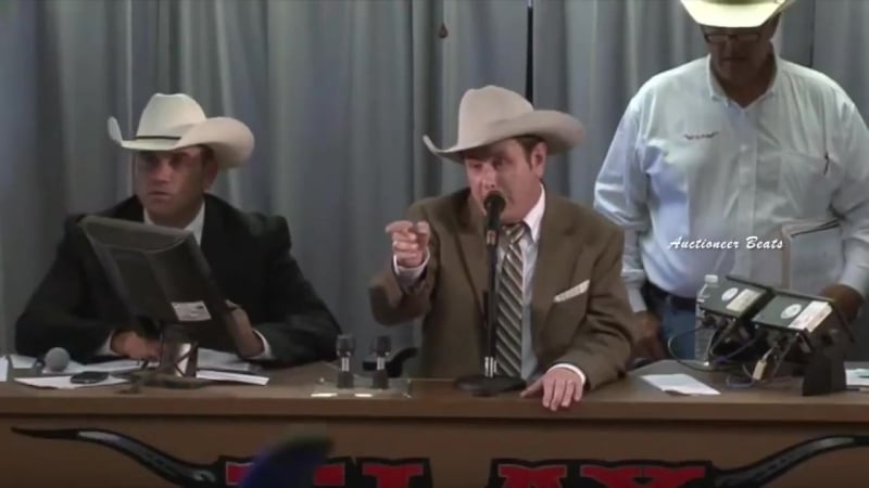 Ковбойская читка