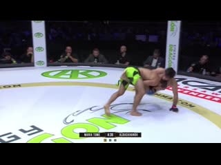 L a c o s t e rasul albaskhanov