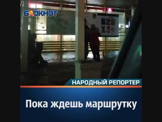 Пока ждешь маршрутку