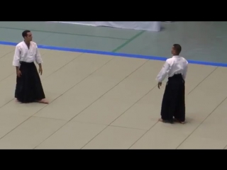 Makoto ito 6th dan 51st aikido embukai 2013