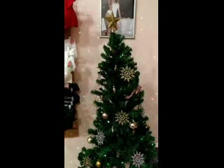 Vid 20191221 180239(0) mp4