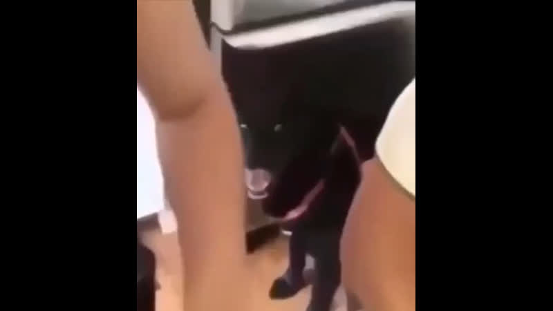 Споки❤️❤️