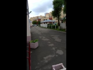 Vid 20170630 104354 mp4