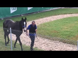 Take a closer look at eminent in sydney