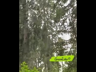 Greenway style 20200929 143242 0 mp4