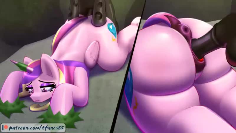 Princess cadance and a changeling