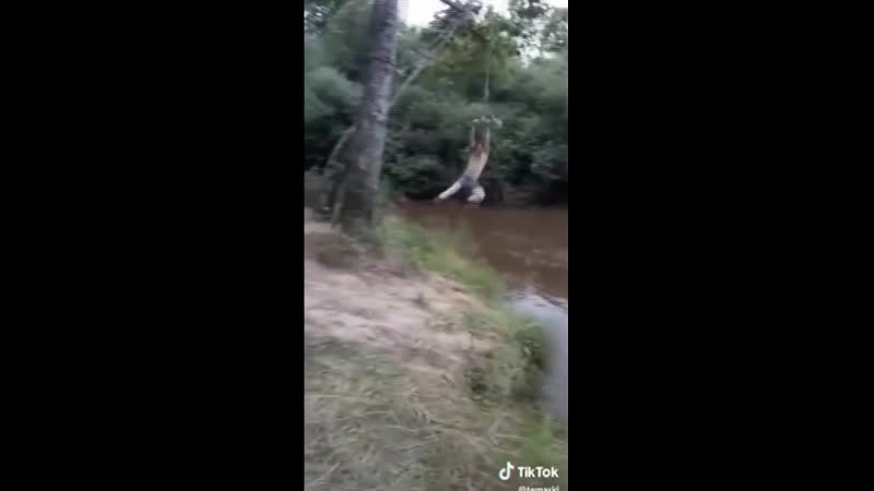 Погнал porn video – Давай, погнал