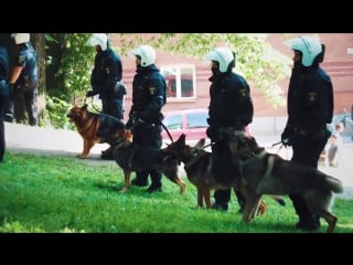 5 глупых смертей (премия дарвина 2015)