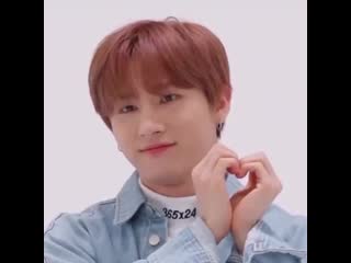 My cute kitty [minkyunsbebe]