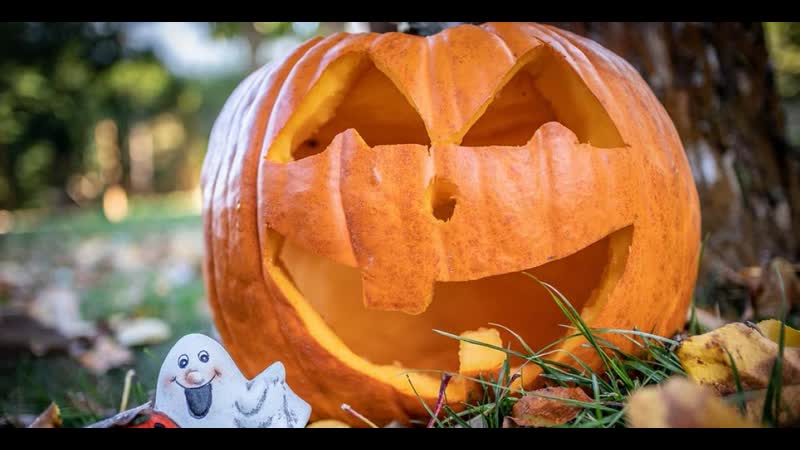 "такога вы не чулі" гурты "насавал" і "гофман" збіраюцца на хэлоўін