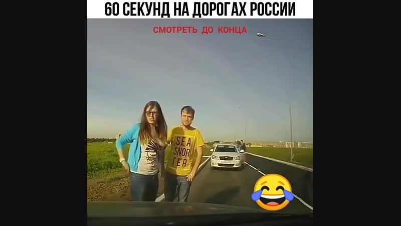 Осторожно, за рулём олени