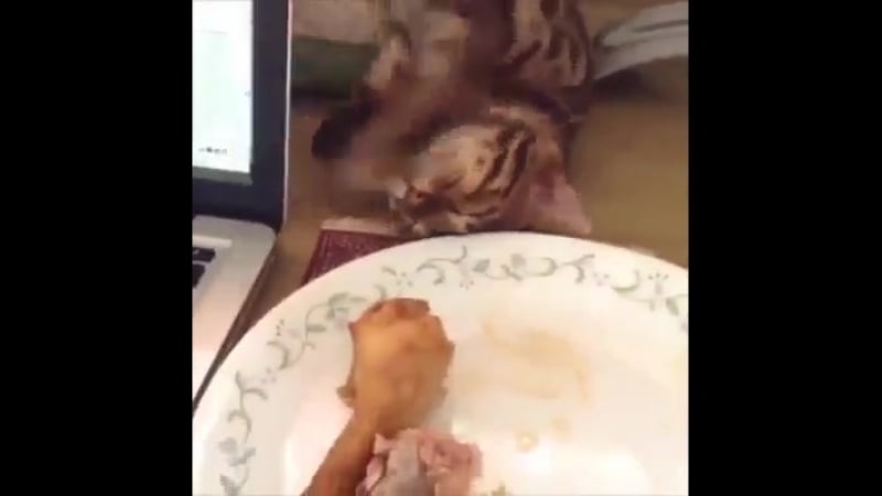 Притворился спящим ! )))