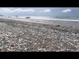 Shocking plastic pollution on kuta beach in bali