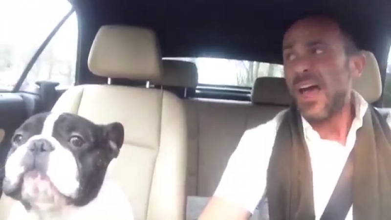 Молодые душевно подпевает