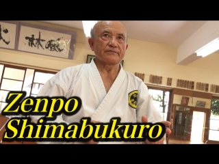 Zenpo shimabukuro / shorin ryu seibukan / kata naifanchi